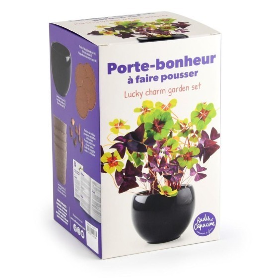 Kit trèfle porte bonheur