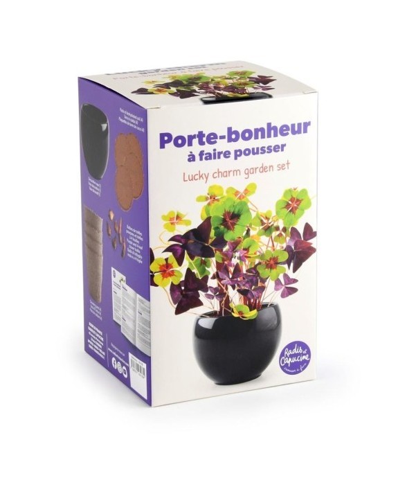 Kit trèfle porte bonheur