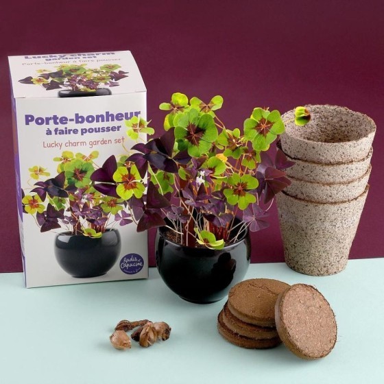 Kit trèfle porte bonheur