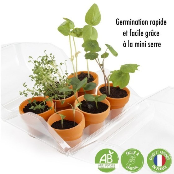 Mini serre 6 pots PET - Premier jardin