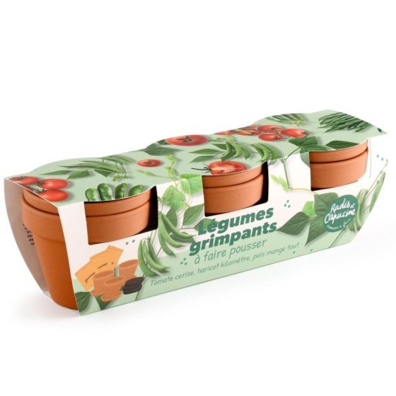 Kit jardinage légumes grimpants - Trio