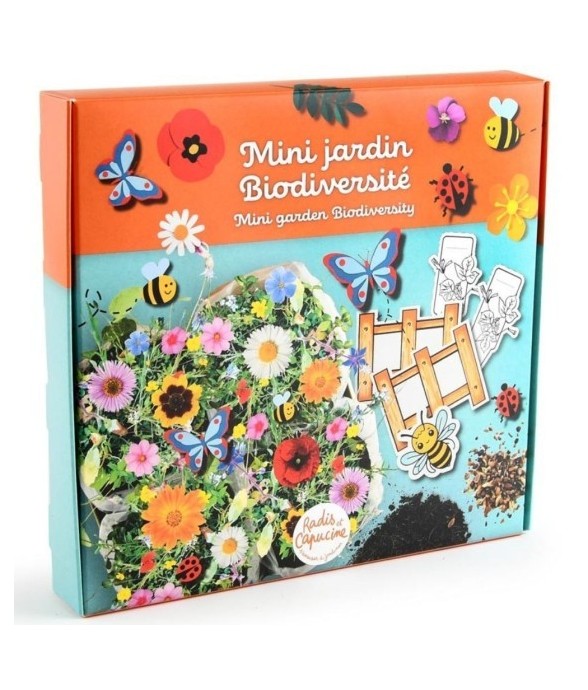 Mini jardin fleurs de...