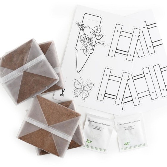 Mini jardin fleurs de biodiversité