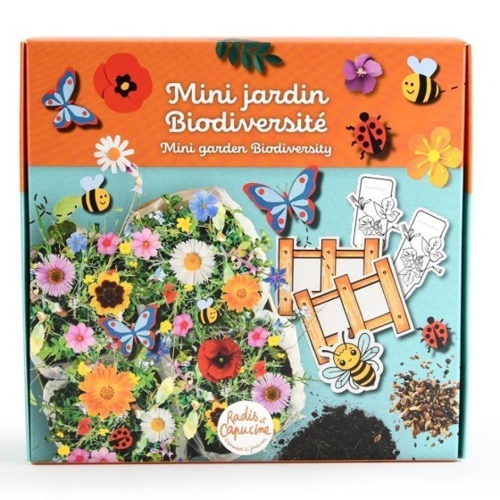 Mini jardin fleurs de biodiversité