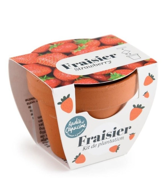 Mini kit 6 cm - Fraise