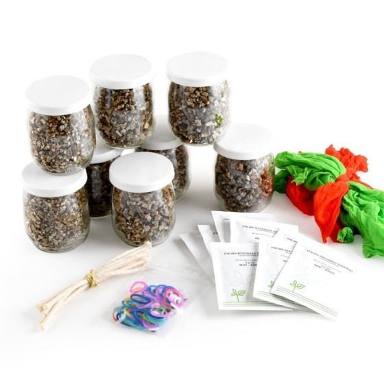 Coffret activité - Mr Patate