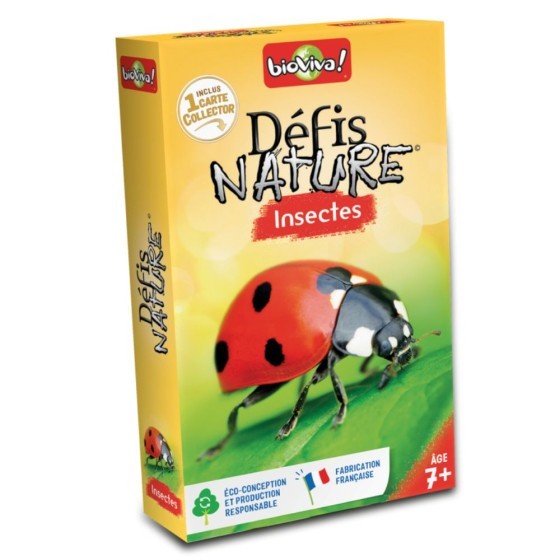 Défis nature : les insectes