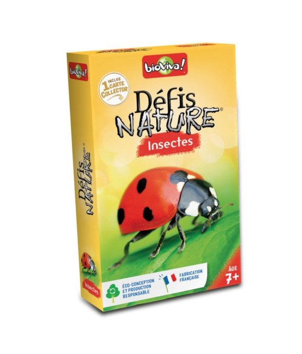 Défis nature : les insectes