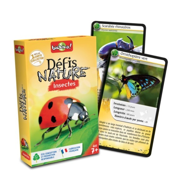 Défis nature : les insectes