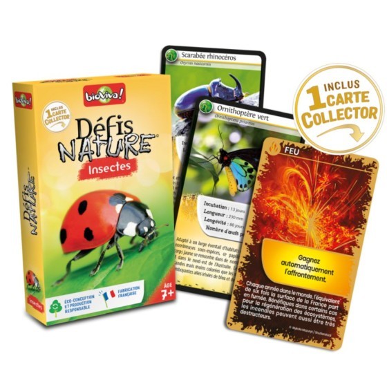Défis nature : les insectes