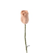 Tulipe Nude