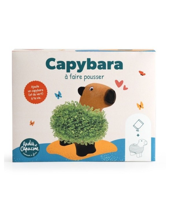 Capybara terre cuite...