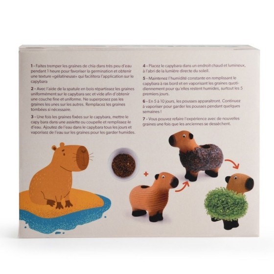 Capybara terre cuite poreuse avec graines de chia