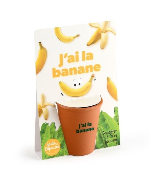 Carte message - J'ai la...