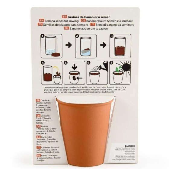 Carte message - J'ai la banane - Bananier