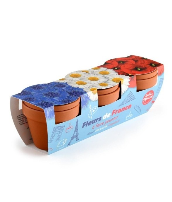 Trio fleurs bleu blanc rouge