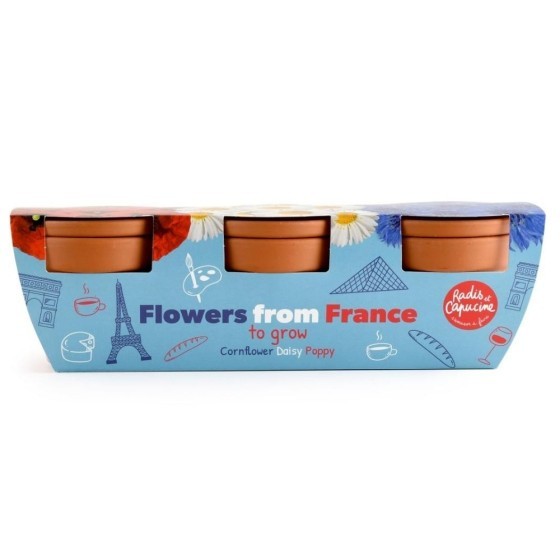 Trio fleurs bleu blanc rouge