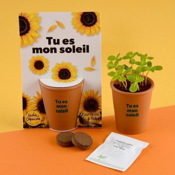 Carte message - Tu es mon soleil -  Tournesol