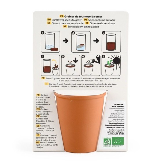 Carte message - Tu es mon soleil -  Tournesol