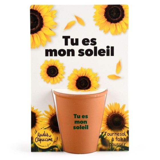 Carte message - Tu es mon soleil -  Tournesol