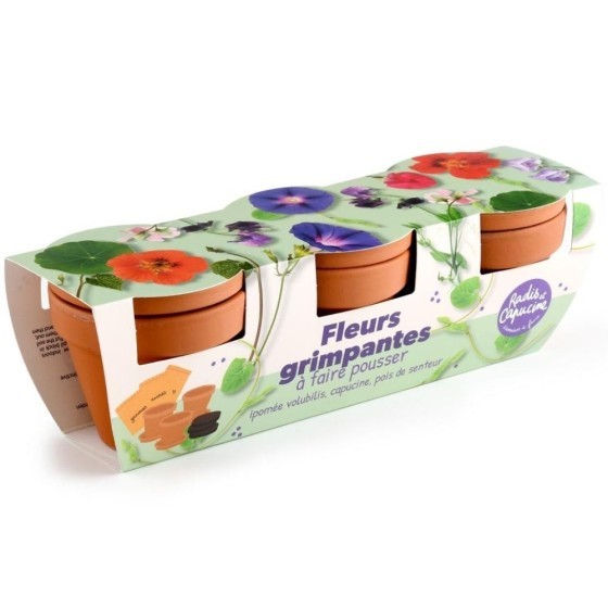 Kit jardinage fleurs grimpants - Trio