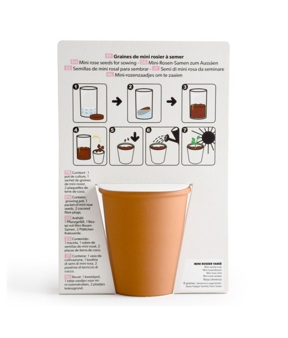 Carte message - All you...