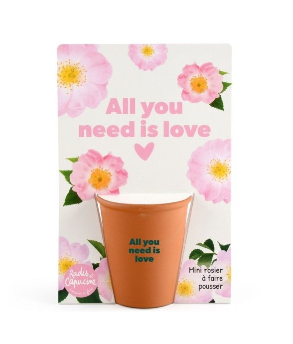 Carte message - All you...