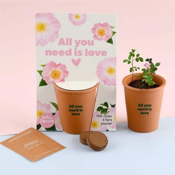 Carte message - All you need is love - Rosier