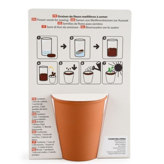 Carte message - Bisous fleuris - Mellifères