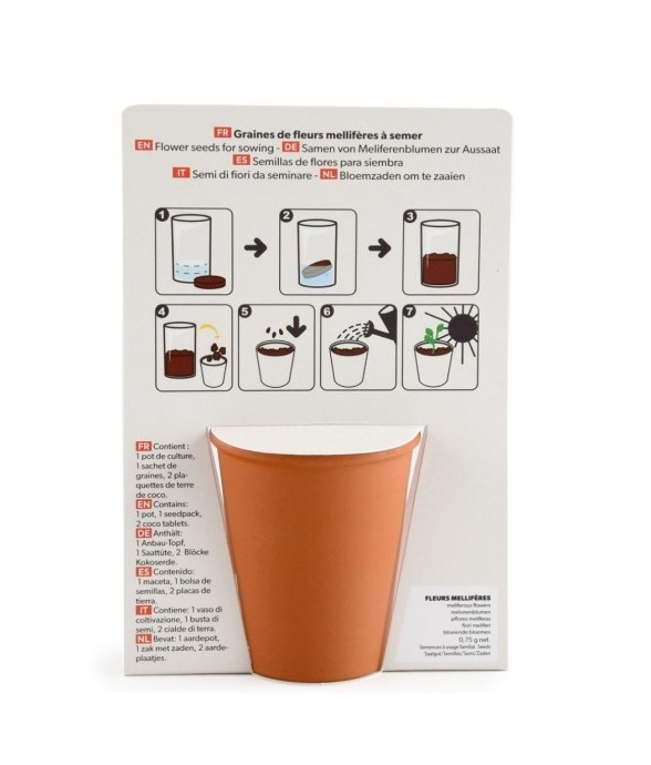 Carte message - Bisous...