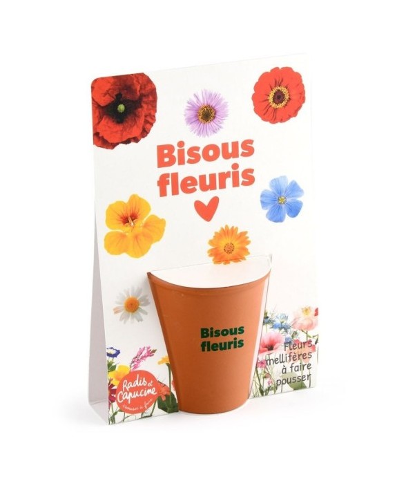 Carte message - Bisous...