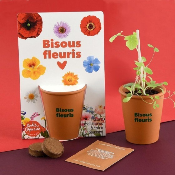 Carte message - Bisous fleuris - Mellifères