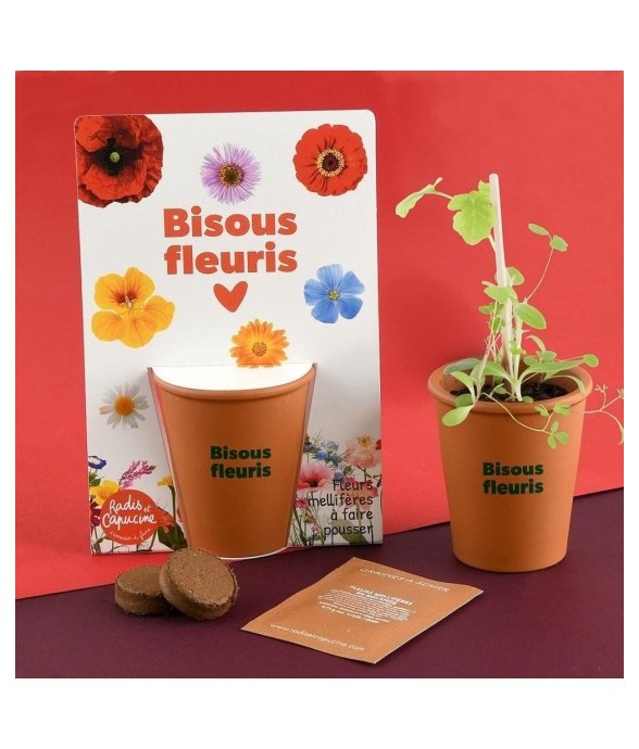 Carte message - Bisous...