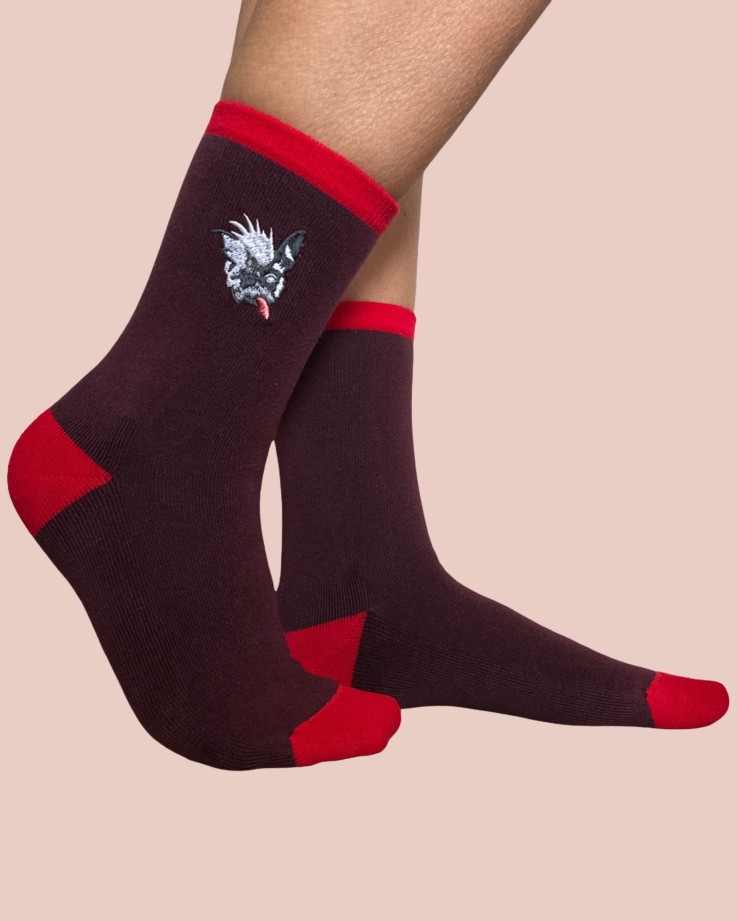 Doggie Chaussettes Coffret 5