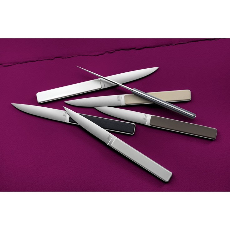 Coffret de 4 couteaux à steak Hector perle, lame lisse en inox