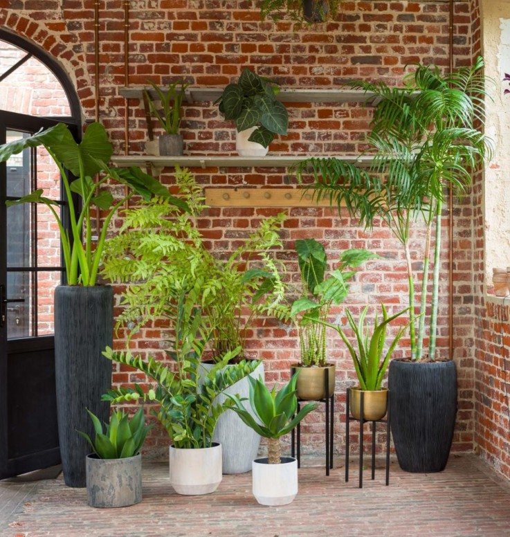 Cache pot Etna 22 cm en terre cuite