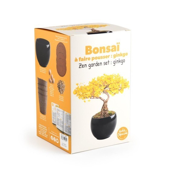 Bonsaï garden set Ginkgo Bio