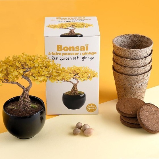 Bonsaï garden set Ginkgo Bio