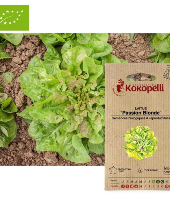 Graines bio à semer -...