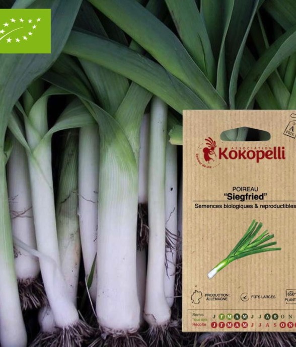 Graines bio à semer -...