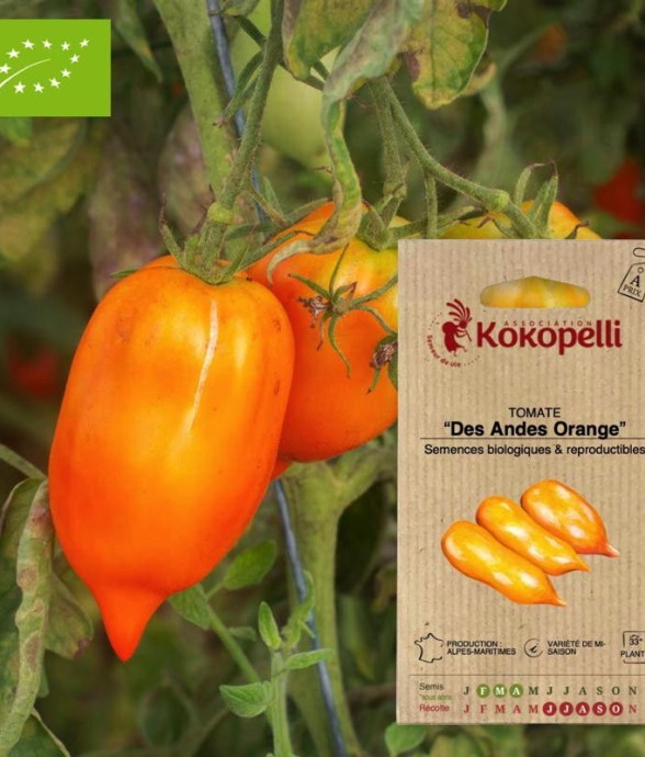 Graines bio à semer -...