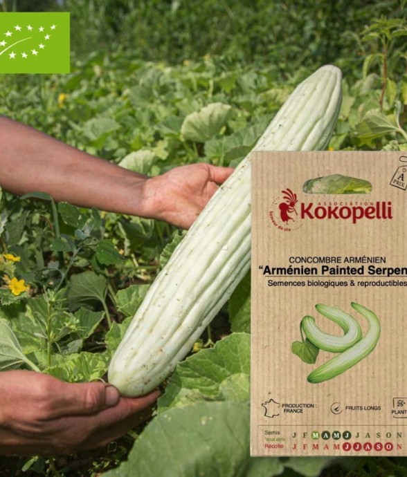 Graines bio à semer -...