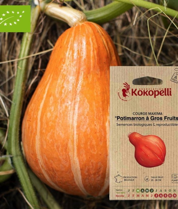 Graines bio à semer -...