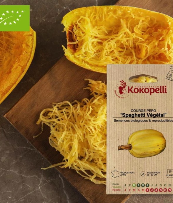 Graines bio à semer -...