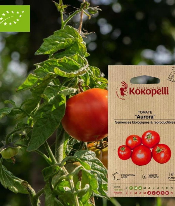 Graines bio à semer -...