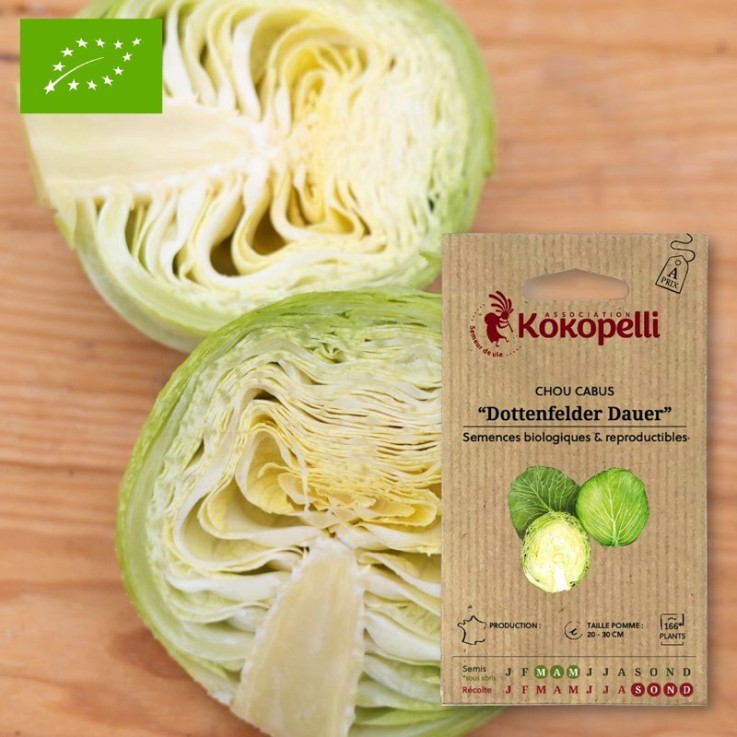 Graines bio à semer - Chou Cabus Blanc D'Automne et d'Hiver Dottenfelder Dauer