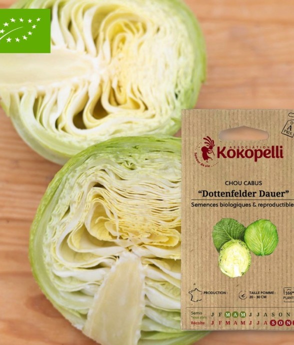 Graines bio à semer - Chou...