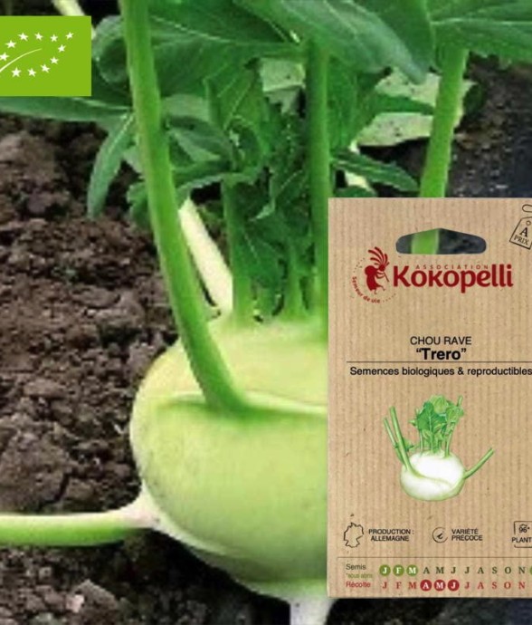 Graines bio à semer - Chou...