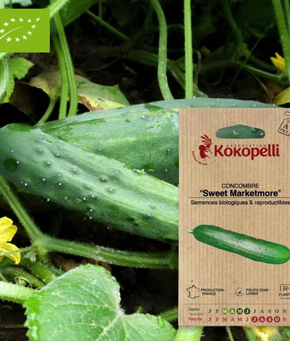 Graines bio à semer -...