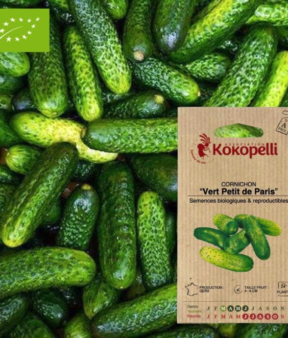 Graines bio à semer -...